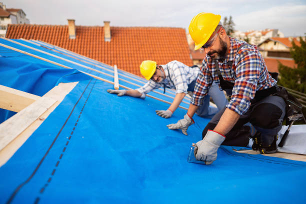 Best Roof Gutter Cleaning  in Jonesville, VA
